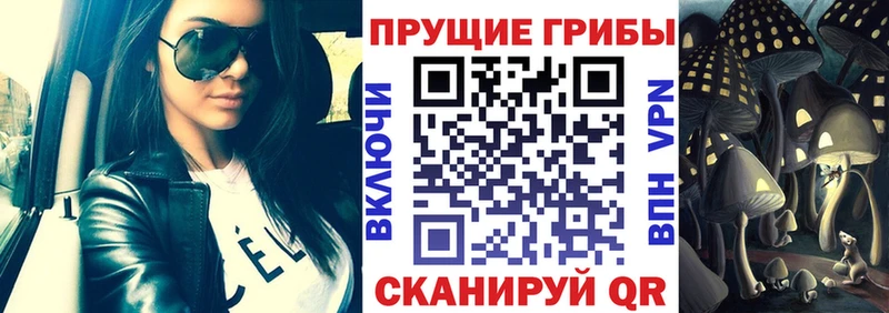 Галлюциногенные грибы GOLDEN TEACHER Ликино-Дулёво
